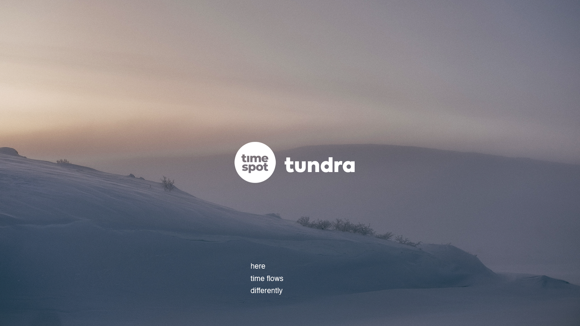 tundra